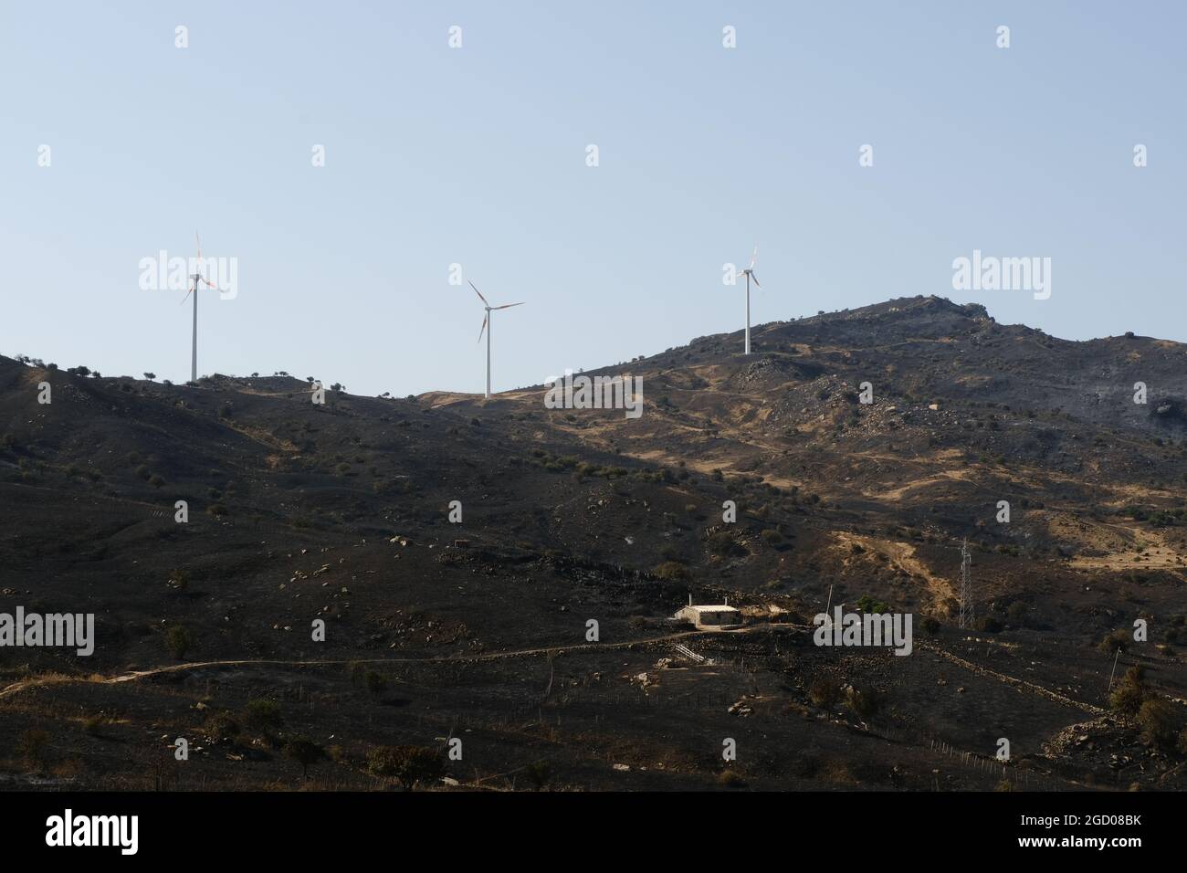 Große Brandstiftung in der Nähe der Stadt Gangi in der Provinz Palermo auf Sizilien. Viele Feldfrüchte und verbrannte Wälder, Bauernautos und sogar Zuchttiere, die von den Flammen verbrannt wurden. Stockfoto
