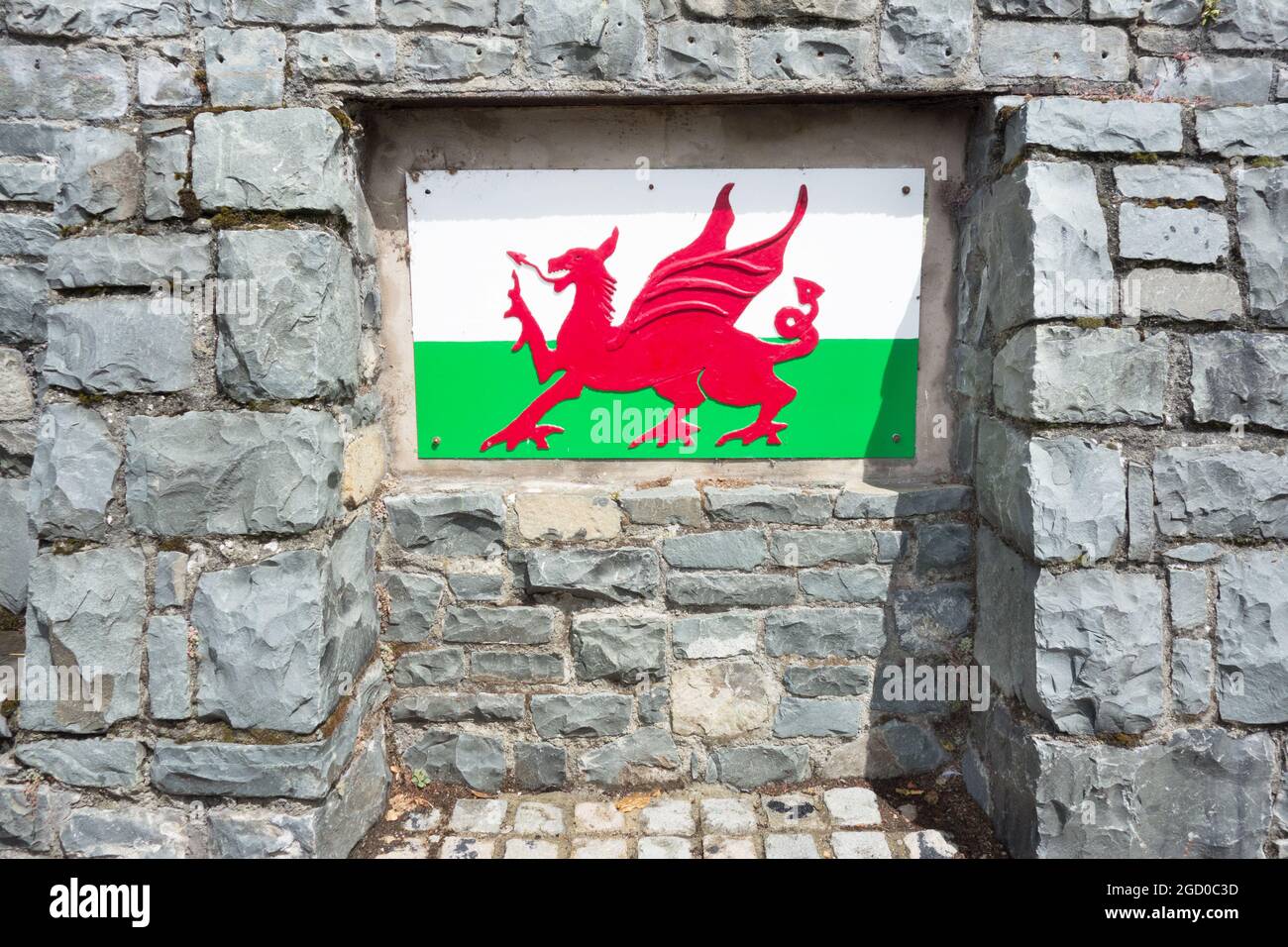 Das Welsh Dragon Symbol auf einer grauen Schieferwand in Wales gesetzt Stockfoto