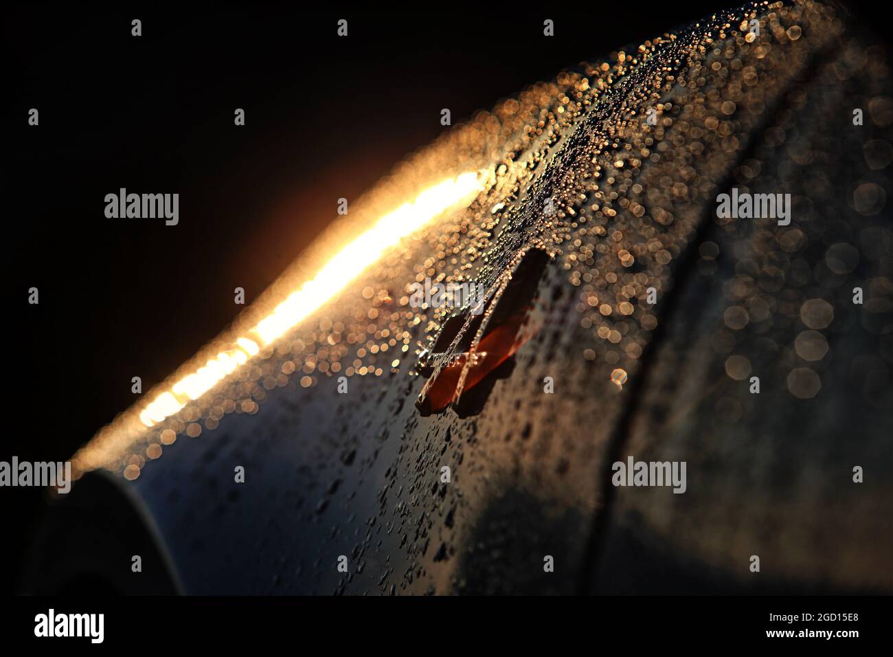 Renault F1 Team - Alpine Auto. Großer Preis der Eifel, Freitag, 9. Oktober 2020. Nurbugring, Deutschland. Stockfoto