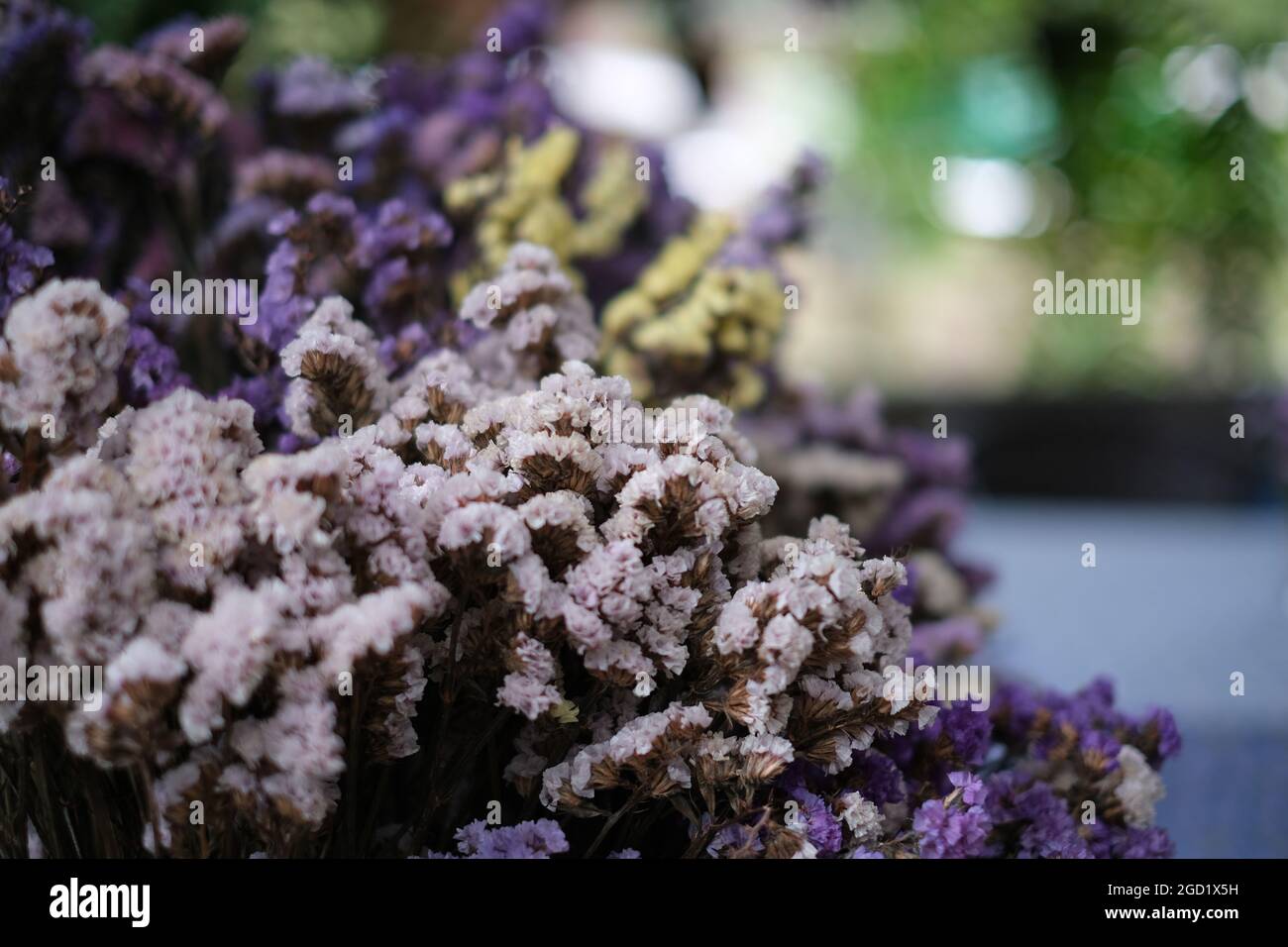 Eine Nahaufnahme eines Straußes getrockneter Blumen, gesehen in einer Straßencafeteria in einem abgelegenen Dorf in Thailand Stockfoto