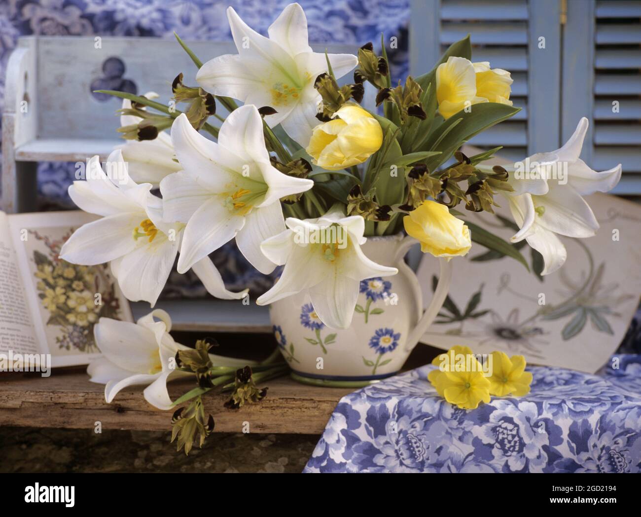 botanik, weiße lilium, ZUSÄTZLICHE-RIGHTS-CLEARANCE-INFO-NOT-AVAILABLE Stockfoto