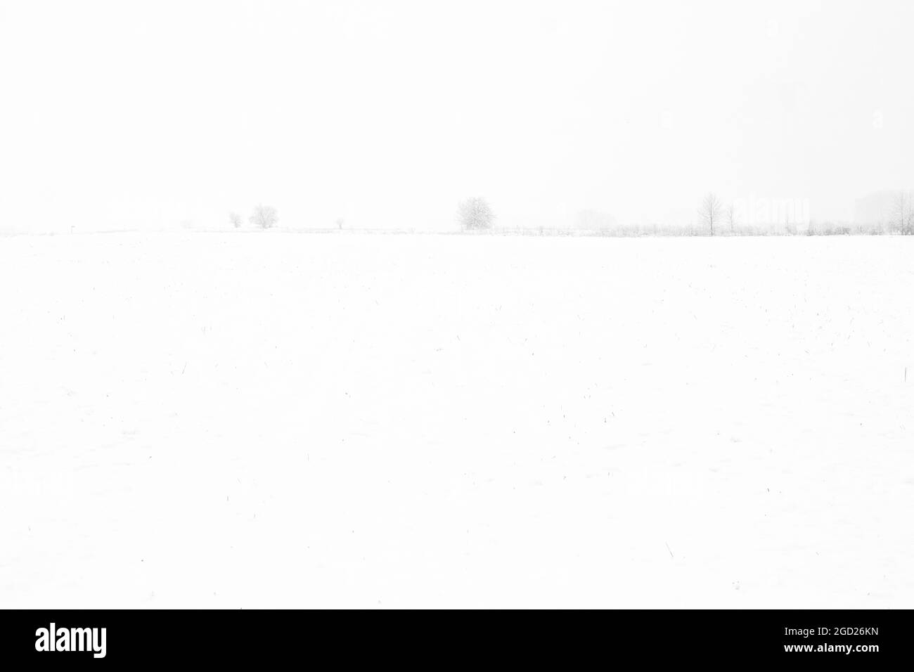 Feld bedeckt mit Schnee im Winter während Schneefall Stockfoto