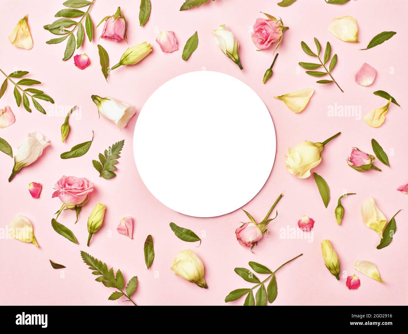 Blatt Blume Grußkarte Notiz Papier Rahmen Hintergrund flach legen floral Layout Einladung Natur Frühling grün Stockfoto