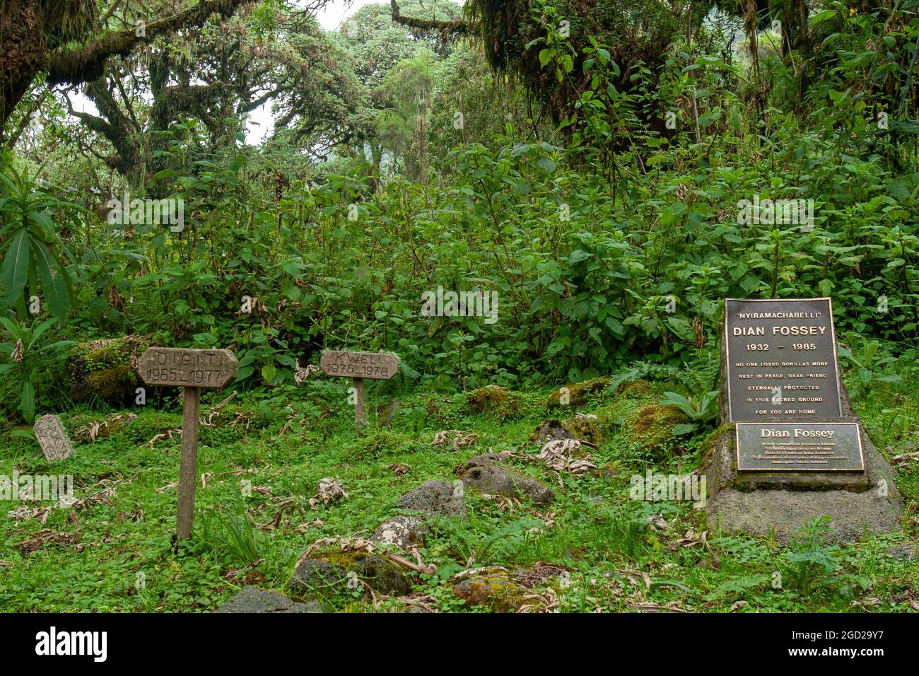 Dian Fossey's Grab neben ihren beliebtesten Gorillas, die aus dem Film Gorillas in the Mist bekannt sind Stockfoto