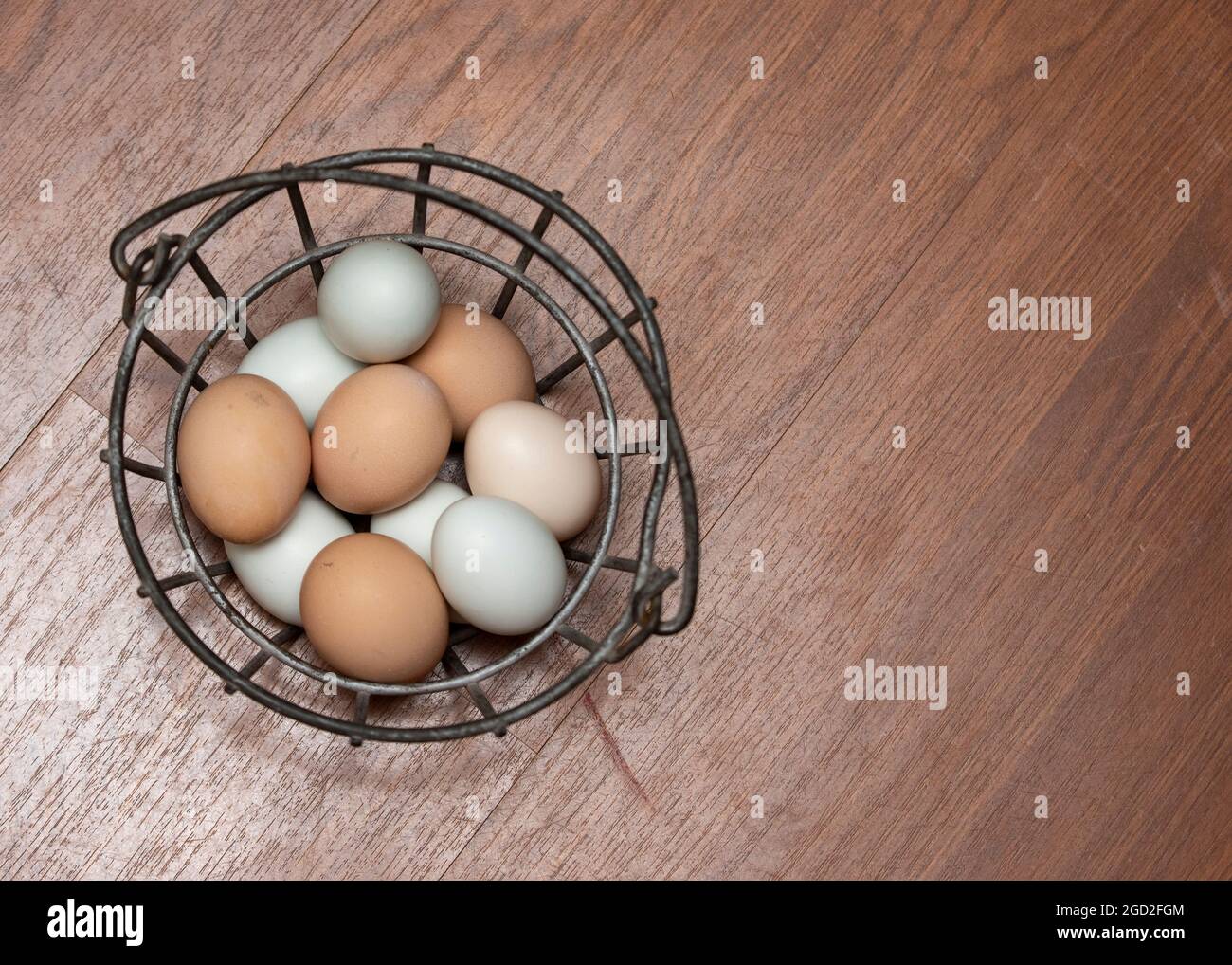 10 Eier in einem eisernen Eierkorb von oben geschossen. Die Eier stammen von Freilandhennen und sind 3 verschiedene Farben. Stockfoto