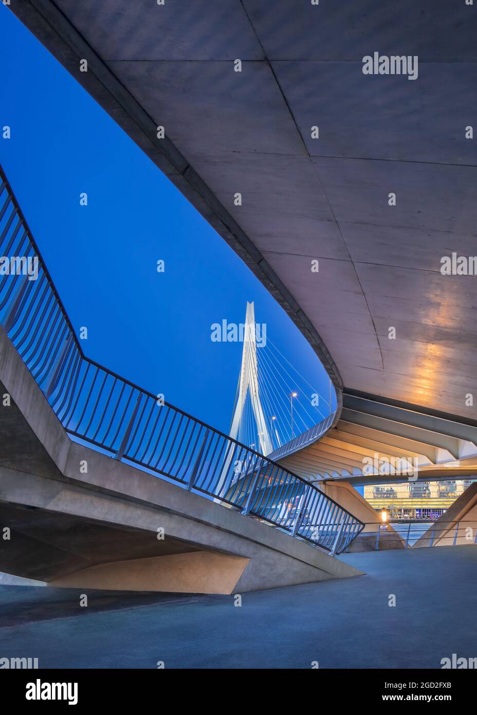 Blick auf die berühmte Erasmus-Brücke. Die 284 m lange Brücke wurde von Ben van Berkel (UNStudio) entworfen und verbindet Kop van Zuid mit dem Stadtzentrum. Stockfoto