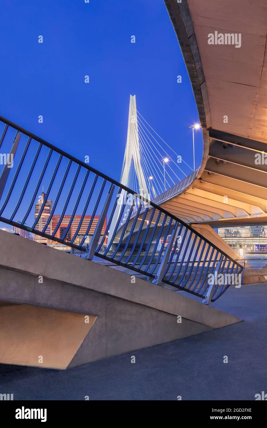 Blick auf die berühmte Erasmus-Brücke. Die 284 m lange Brücke wurde von Ben van Berkel (UNStudio) entworfen und verbindet Kop van Zuid mit dem Stadtzentrum. Stockfoto