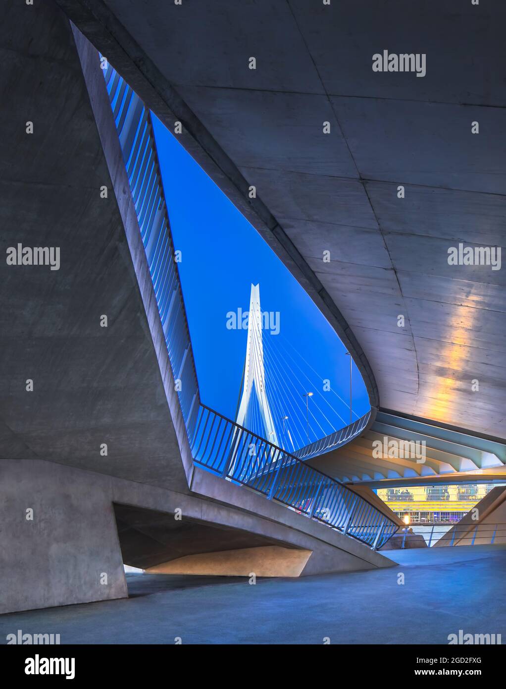 Blick auf die berühmte Erasmus-Brücke. Die 284 m lange Brücke wurde von Ben van Berkel (UNStudio) entworfen und verbindet Kop van Zuid mit dem Stadtzentrum. Stockfoto