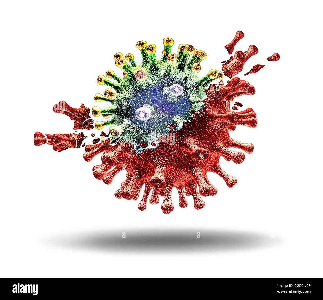Variantenviruszellkonzept und neue mutierte Coronavirus-Varianten Ausbruch oder Covid-19 viraler Delta-Ausbruch als Mutation der Influenza als gefährlich. Stockfoto