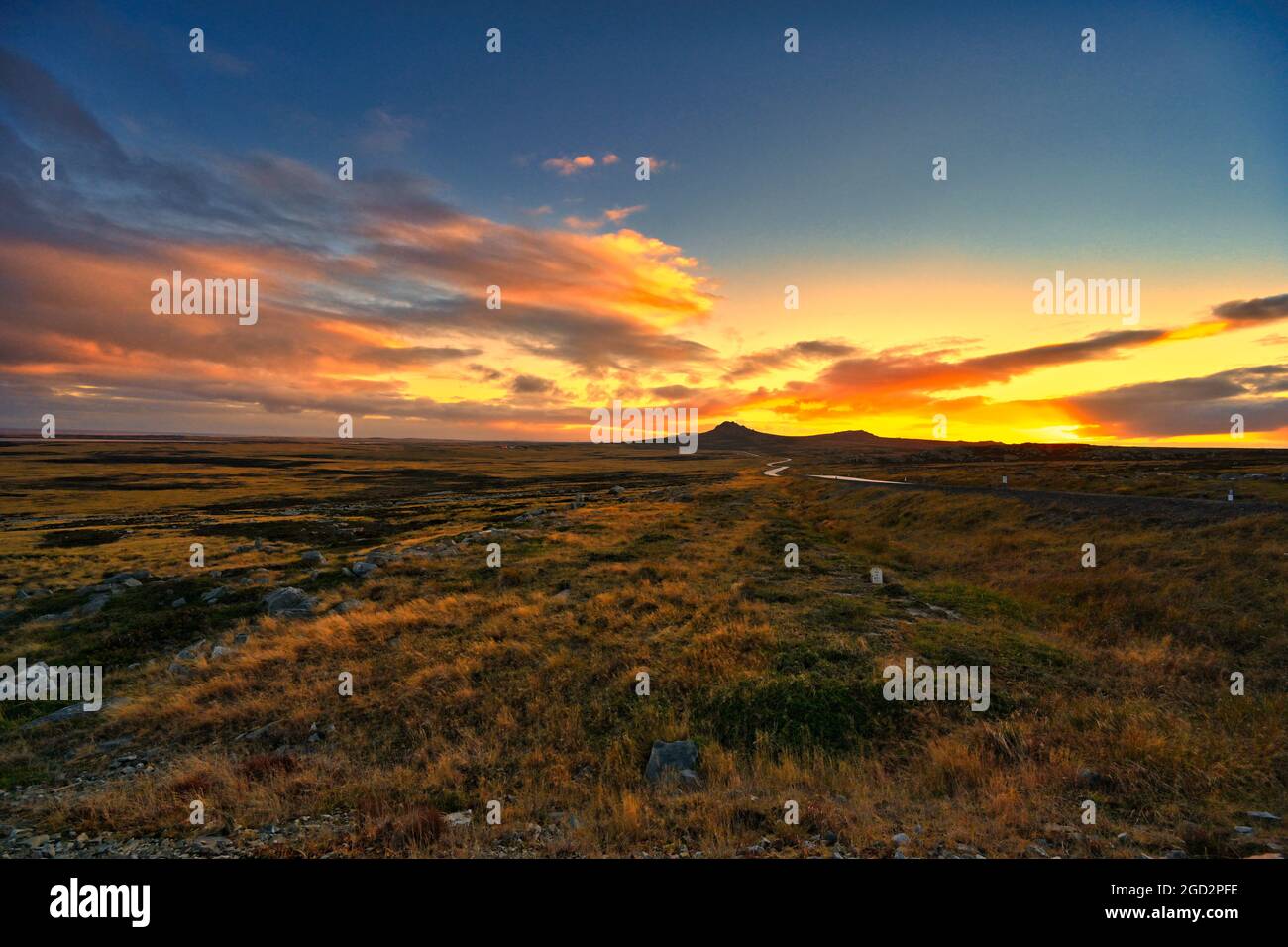 Falkland-Inseln Stockfoto