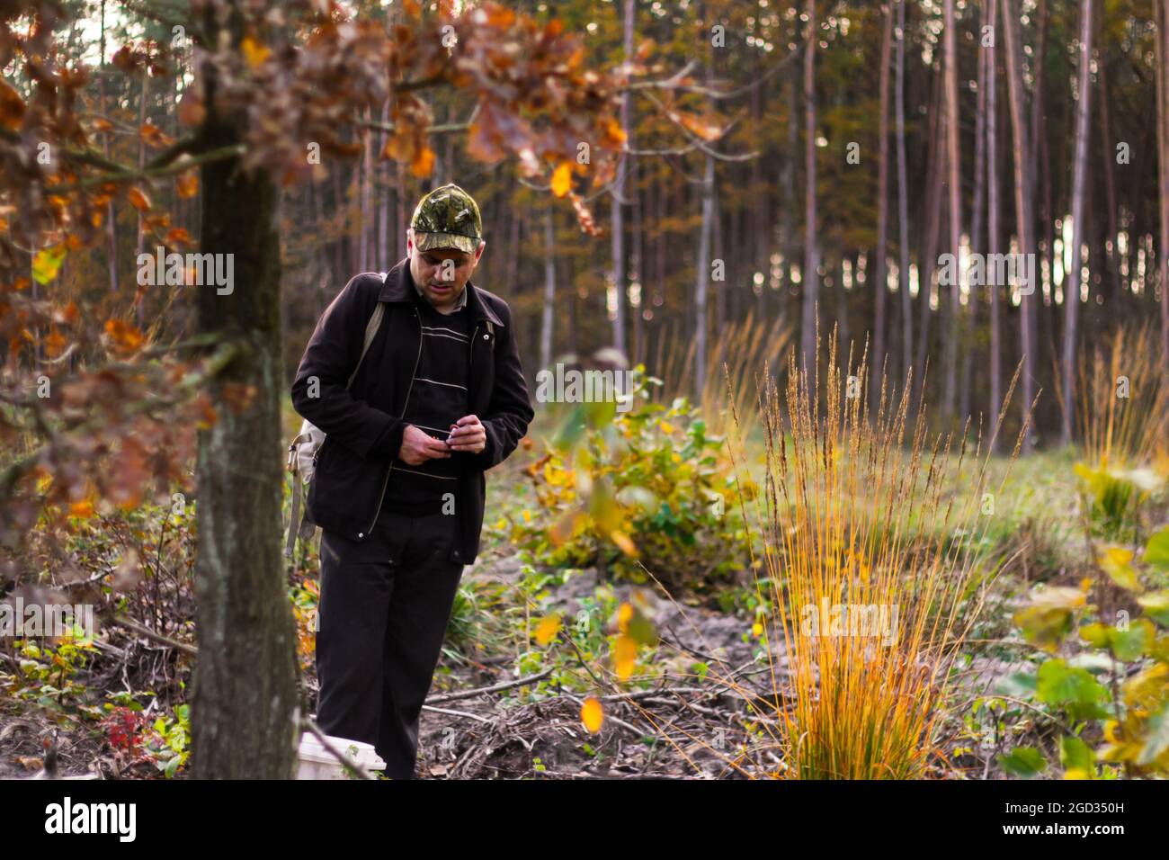 Ein Mann im Wald, ein Jäger, ein Pilzsammler in einer Militärmütze schaut nach unten und hält eine Zigarette. Wanderer im Wald. Landschaft im Wald. Ansicht von Stockfoto