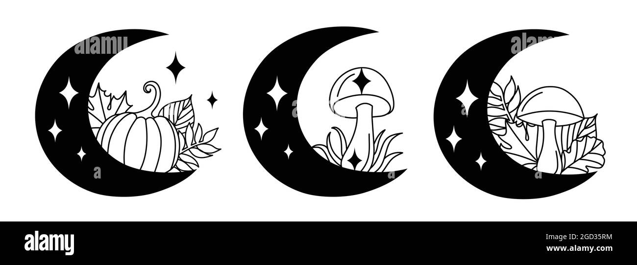 Pilz mit Herbstblättern im Linienkunststil. Stock Vektor