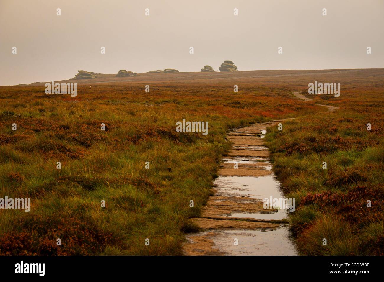 Seltsame Felsformationen entlang des Wanderweges am Ladybower Stausee im Peak District, Derbyshire, Großbritannien Stockfoto