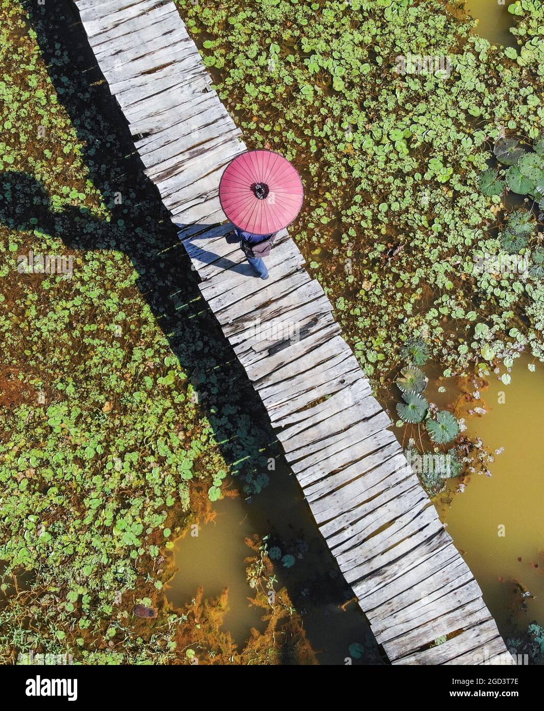 Schöne Holzbrücke in einer langen Provinz Südvietnam Stockfoto