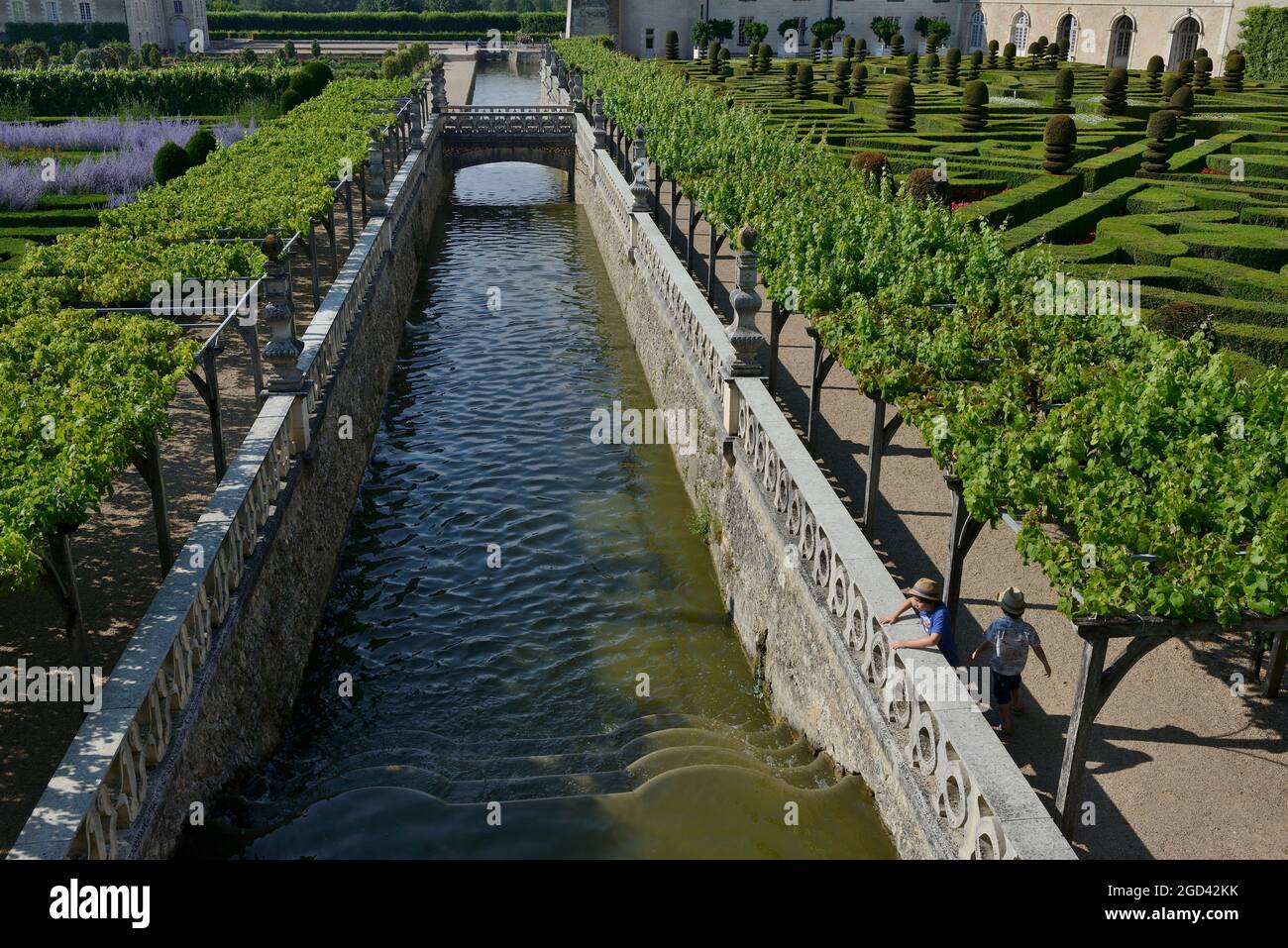 FRANKREICH, INDRE ET LOIRE (37) CHATEAU DE VILLANDRY, SES JARDINS Stockfoto