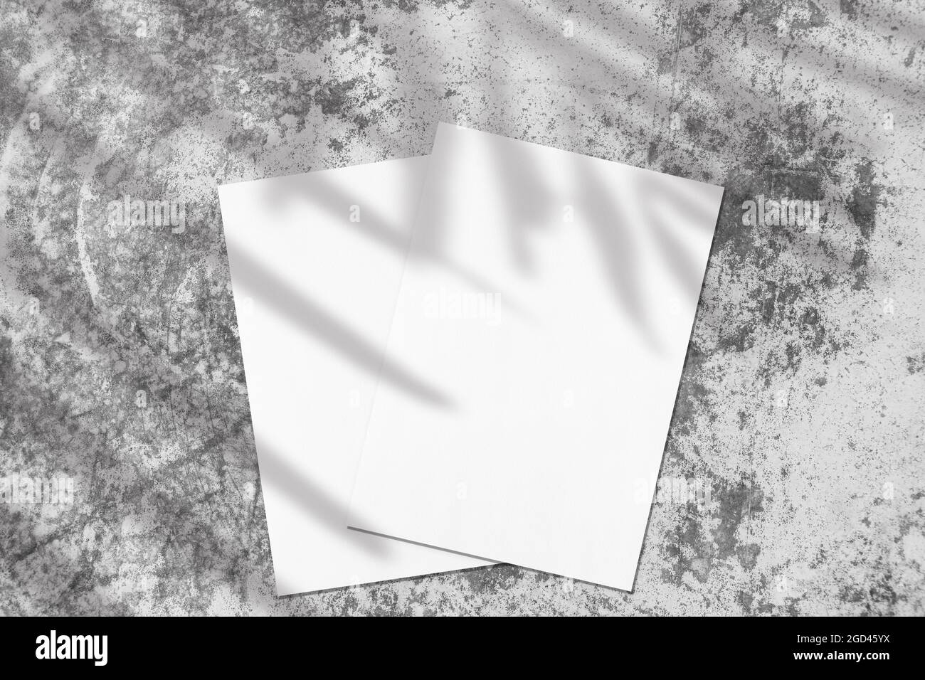 Zwei leere, weiße rechteckige Poster-Diagonalmockups mit Palmschatten Stockfoto