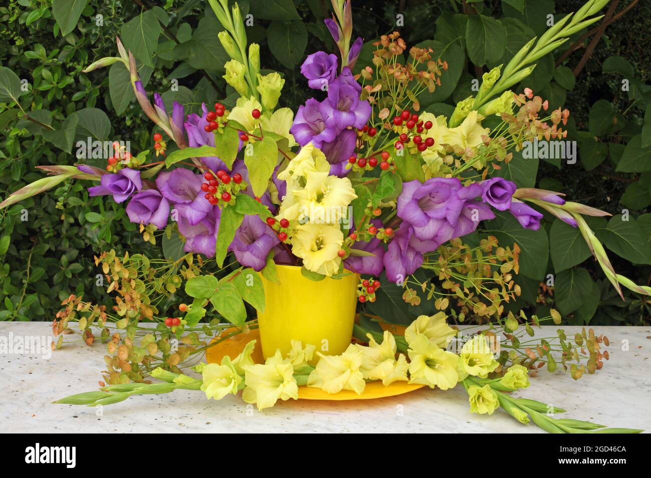 botanik, gelber und violetter Gladiolus und Hypericum in einer gelben Vase auf einem Marmortisch, ZUSÄTZLICHE-RIGHTS-CLEARANCE-INFO-NOT-AVAILABLE Stockfoto