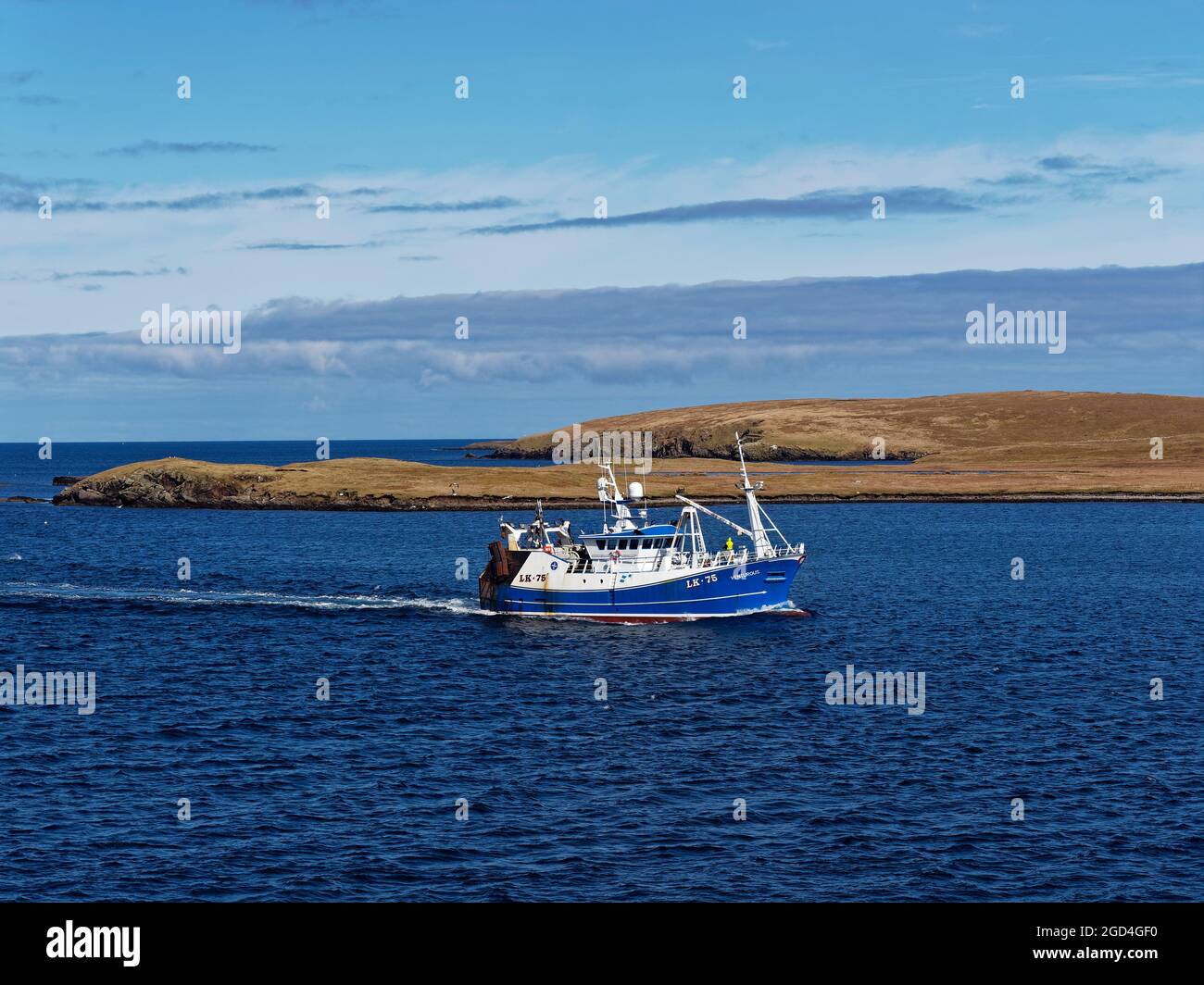 Das abenteuerliche Fischerboot, das von Bressay Sound in Richtung Hafen von Lerwick fährt, wobei ein Crewman auf Deck die Seile vorbereitet. Stockfoto