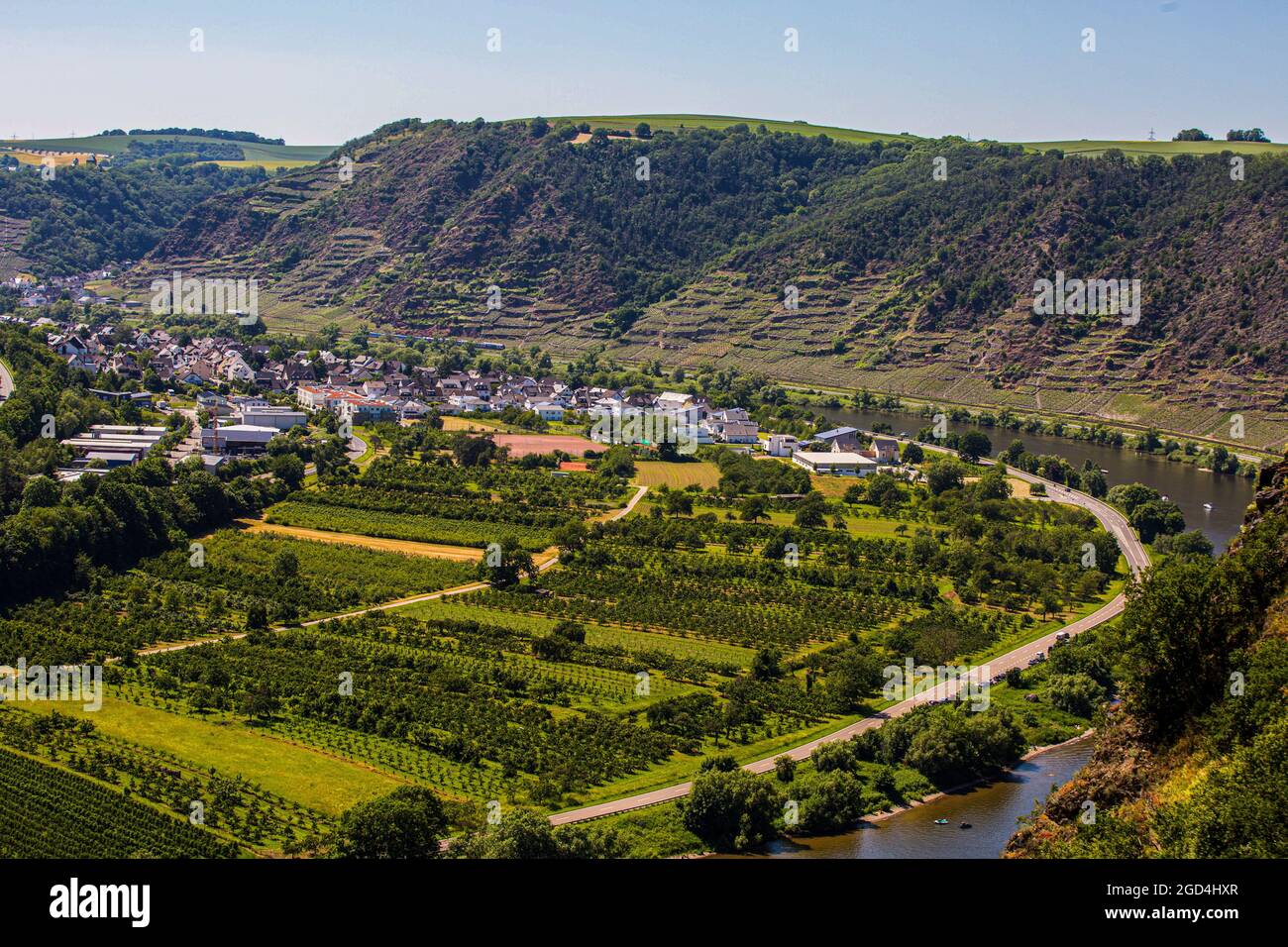 Blick auf die berühmten Weinberge im Moselgebiet. Die Mosel ist ein Westufer des Rheins und fließt 545 km lang durch den Nordosten Frankreichs und Westdeutschlands. Der Fluss mündet in Deutschland und fließt an Trier vorbei bis zum Zusammenfluss mit dem Rhein bei Koblenz. In diesem Bereich des Tals befinden sich die Weinberge, aus denen die berühmten Moselweine hergestellt werden. Stockfoto
