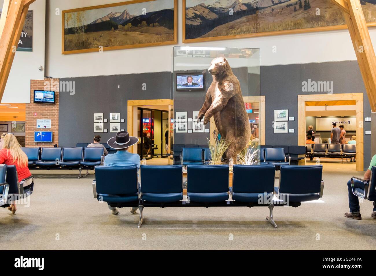 Ein großer, brauner gefüllter, präparierarger Grizzlybär in einem klaren Fall in einem Wartebereich am Flughafen Missoula in Montana. Stockfoto