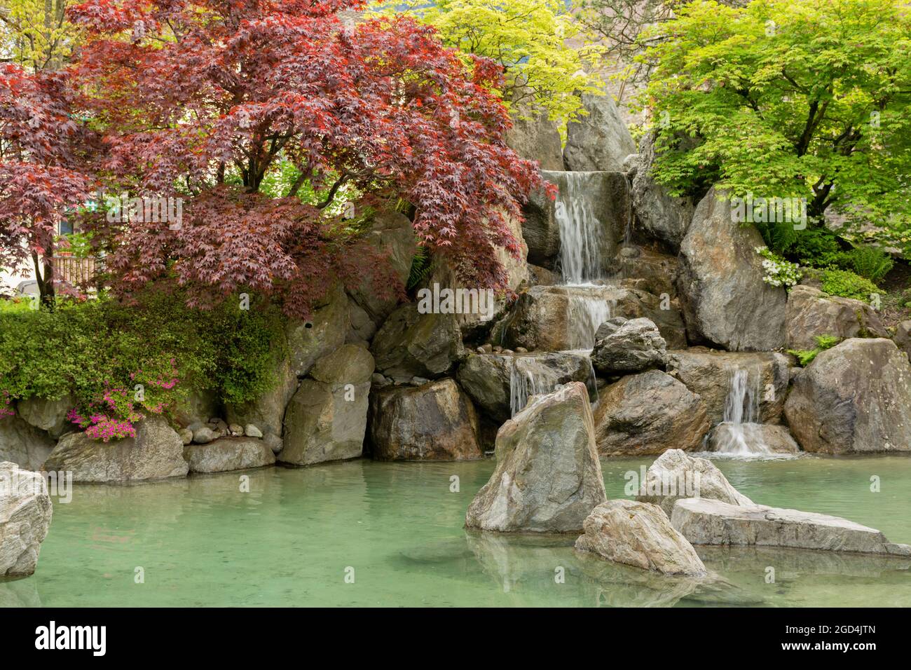 Sommerblick auf den kleinen japanischen Garten in Interlaken mit bunten Bäumen, einem Pool mit Felsen und einem kleinen, von Menschen hergestellten Wasserfall im Hintergrund bei Interlak Stockfoto