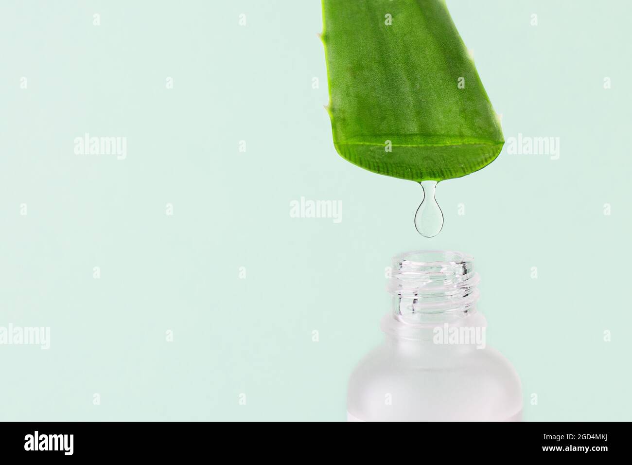 Aloe Vera Gel tropft von Aloe Vera Blatt auf grünem Hintergrund. Natürliche Bio-Aloe Vera Kosmetik und Kräutermedizin Konzept. Stockfoto