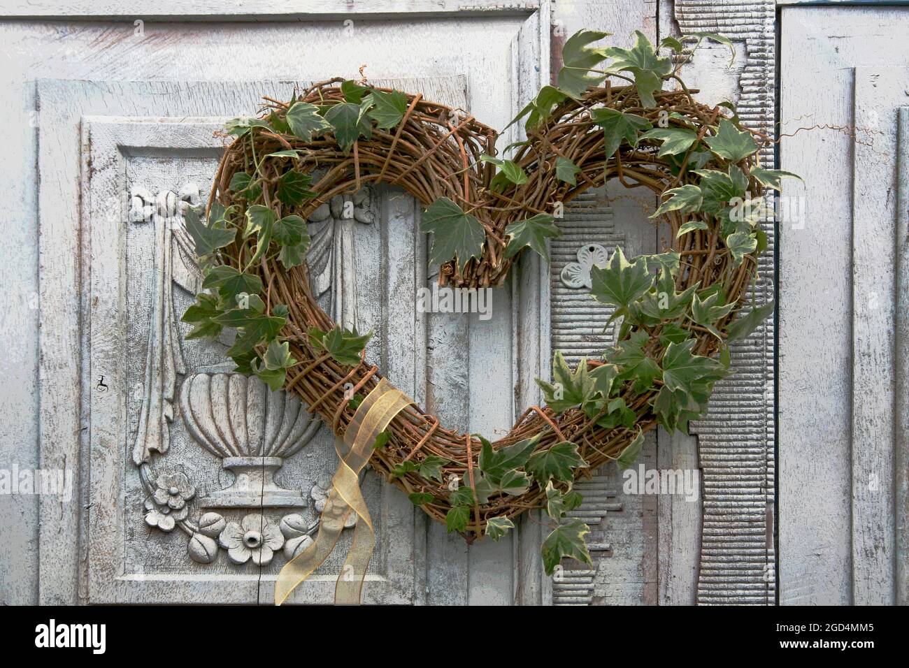 Herzfrmiger efeu -Fotos und -Bildmaterial in hoher Auflsung  Alamy