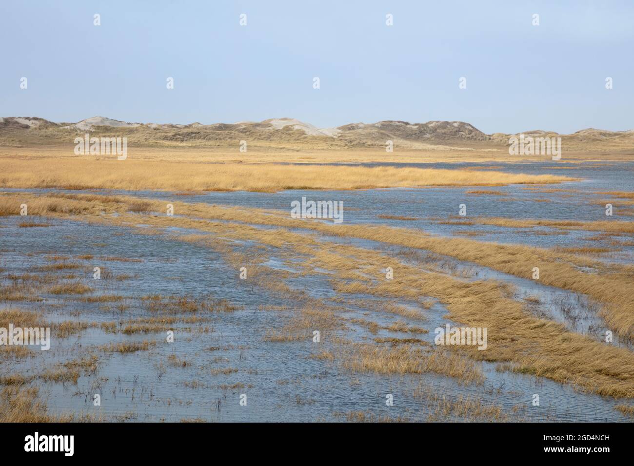 Geographie / Reisen, Deutschland, Schleswig-Holstein, St. Peter-Ording, Nationalpark-Schlammflatten, ZUSÄTZLICHE-RIGHTS-CLEARANCE-INFO-NOT-AVAILABLE Stockfoto