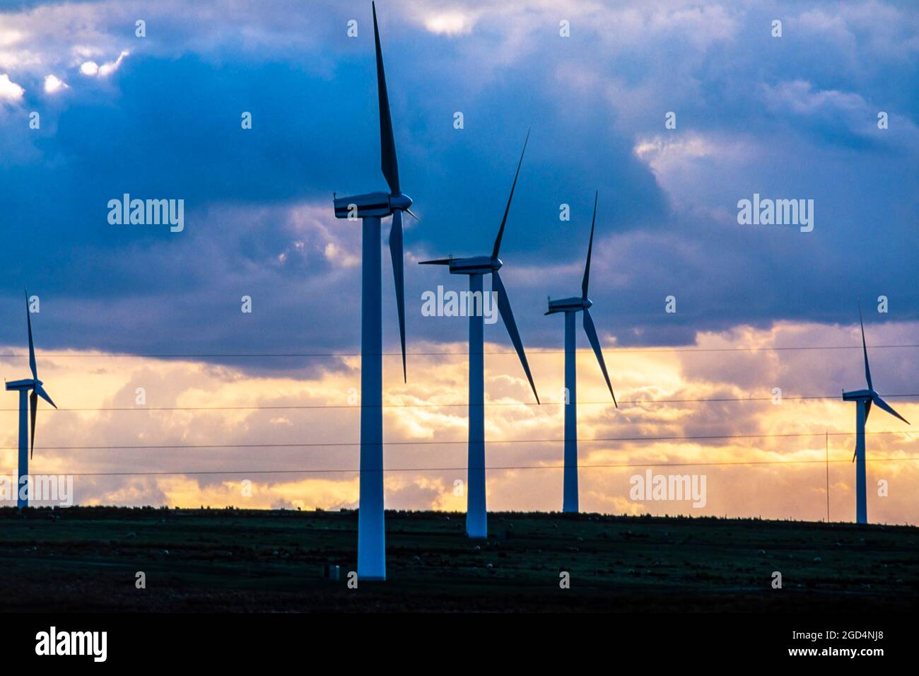 Windmühlen im Windpark, Grenzregion, Schottland, Großbritannien Stockfoto