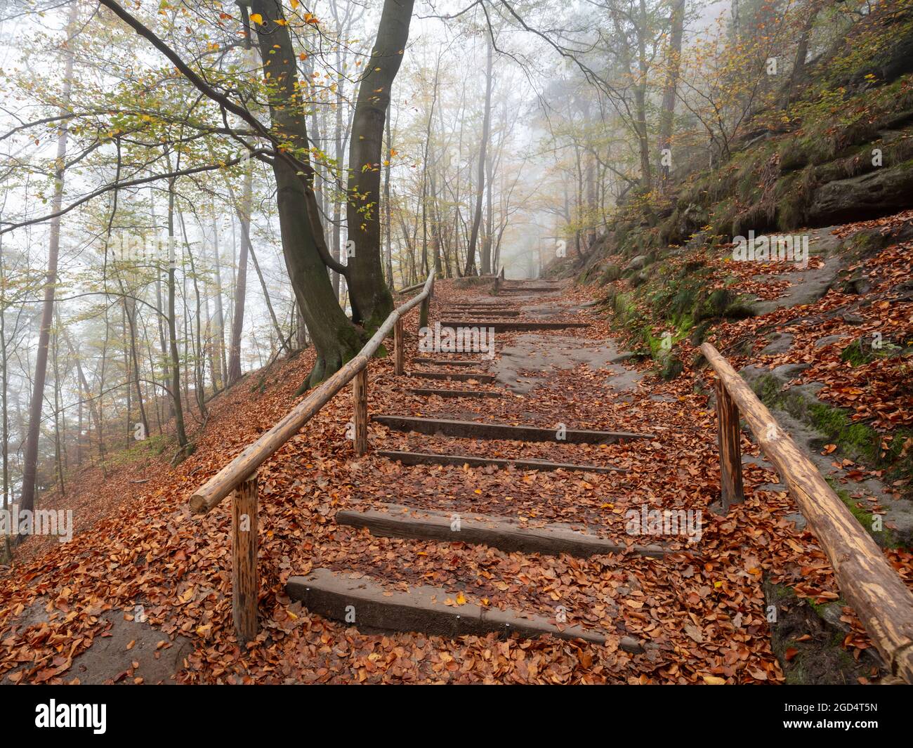 Geographie / Reisen, Deutschland, Sachsen, Elbsandsteingebirge, Nationalpark Sächsische Schweiz, ZUSÄTZLICHE-RIGHTS-CLEARANCE-INFO-NOT-AVAILABLE Stockfoto