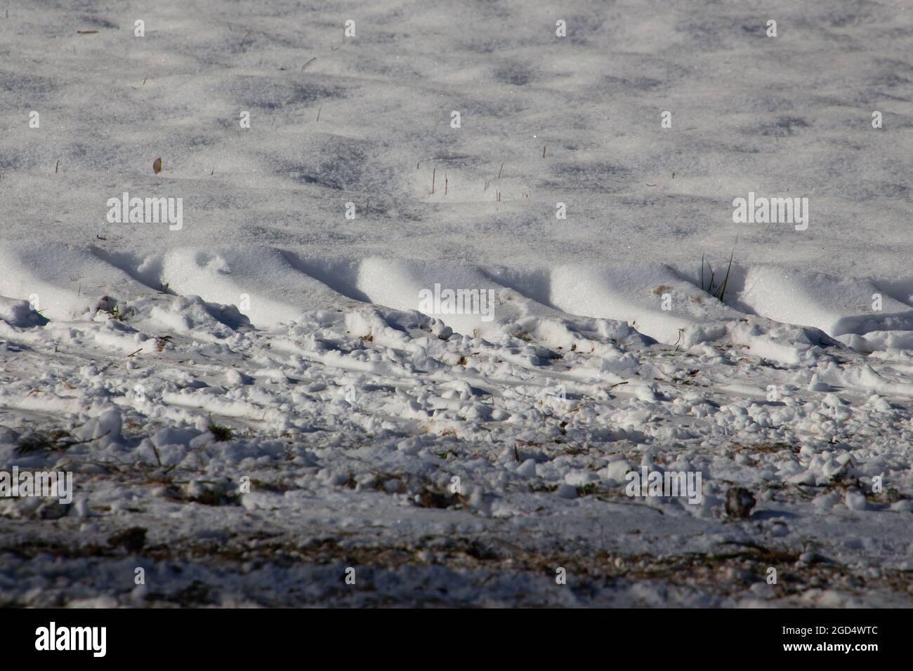 Traktorreifen Spuren im Schnee im Winter Stockfoto