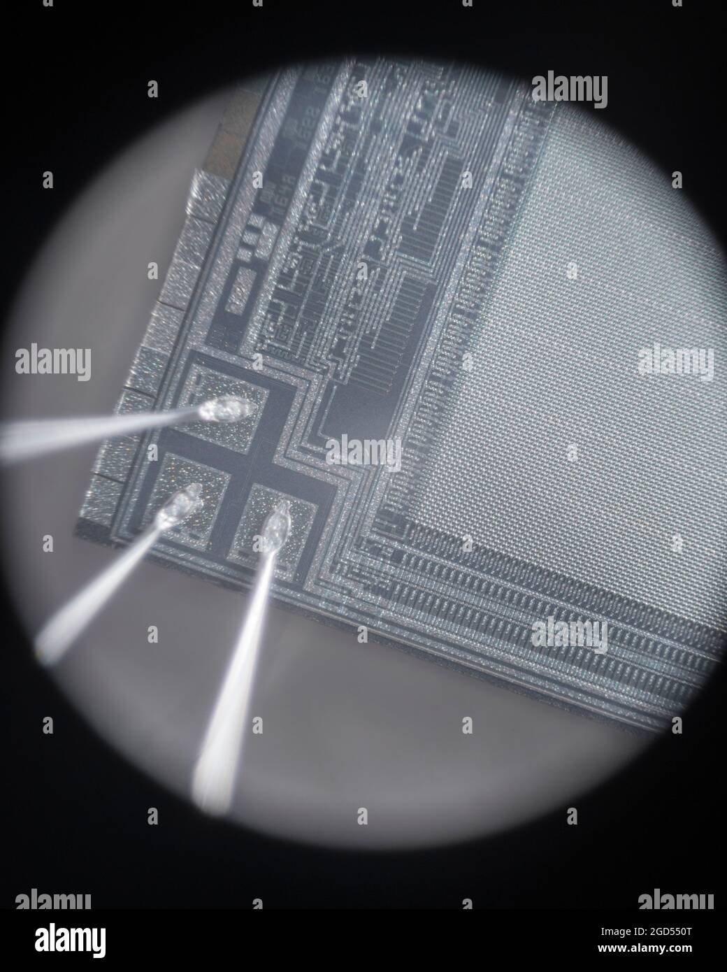 Mikrofotografie der internen Verkabelung und des Matrizenbildschirms von Texas Instruments TMS 2532A-45JL UV Eprom. Aufgenommen durch ein 10-faches Standard-Mikroskop-Objektiv. SIEHE HINWEISE Stockfoto