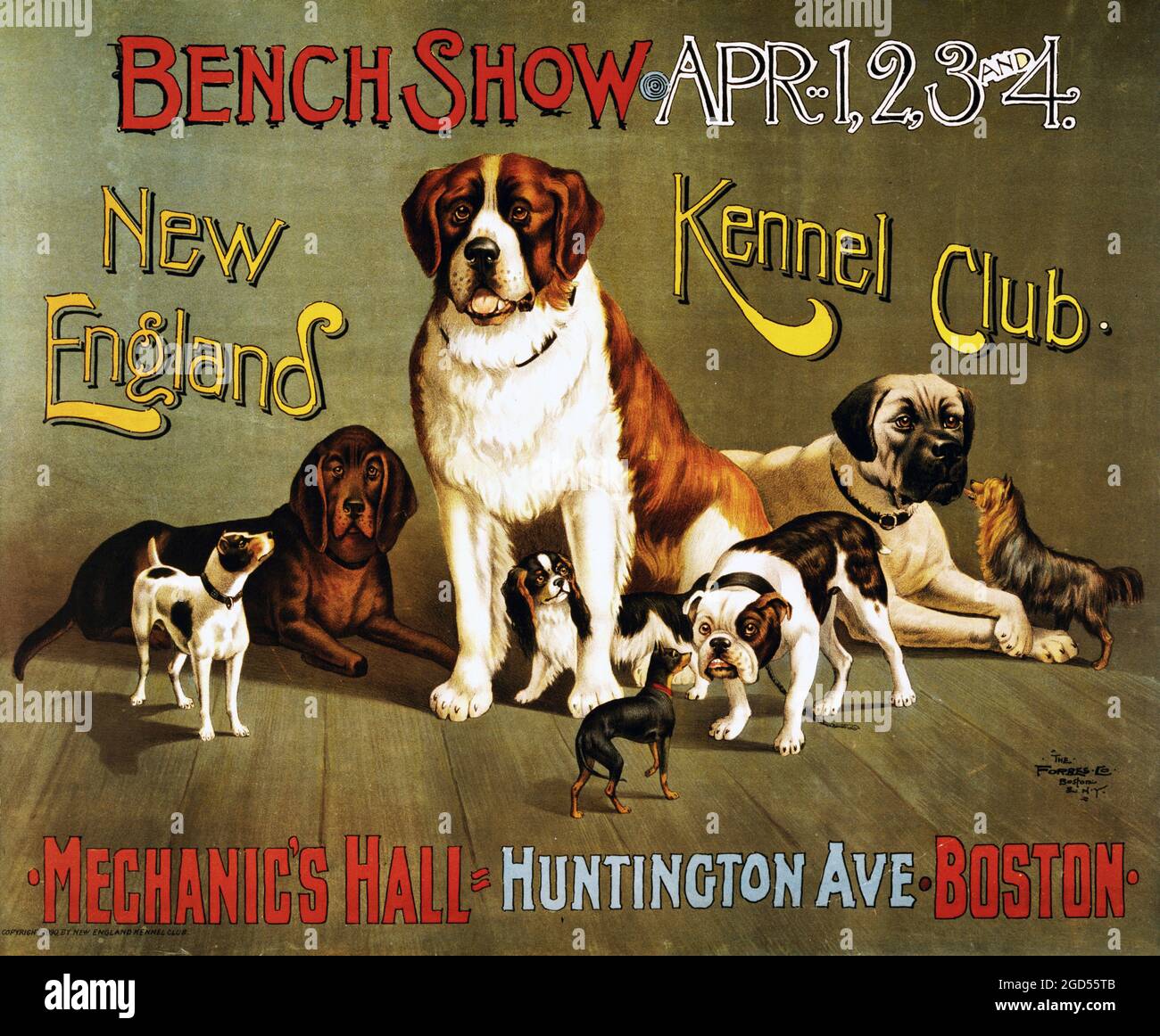 New England Kennel Club Bank zeigen, Werbemittel, Poster, ca. 1890 Stockfoto