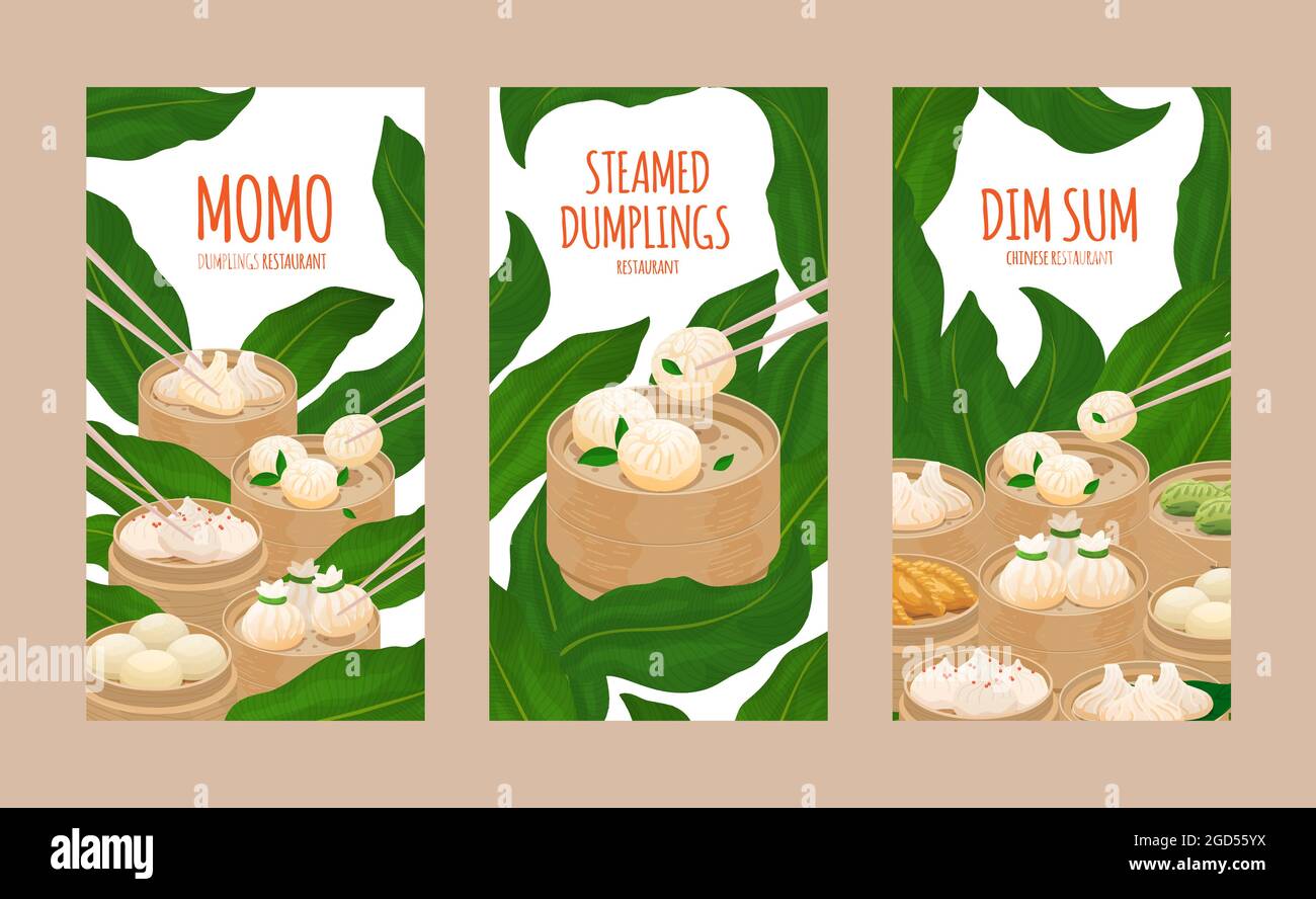 Gedämpfte Knödel momo und Dim Sum. Vorlage von Flyer, Plakat, Speisekarte Karte decken Restaurant mit verschiedenen Knödel, gedünstete Brötchen. Momo und dimsum in s Stock Vektor