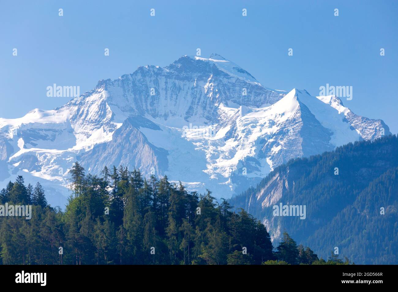 Blick auf die Spitze der Jungfrau in den Schweizer Alpen an einem sonnigen Tag. Schweiz. Stockfoto