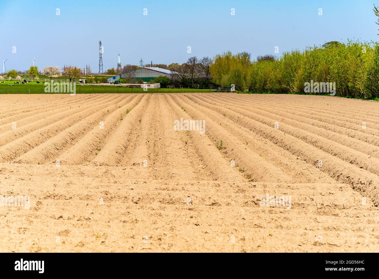Blick auf die gepflügten Felder im Frühjahr zum Wachsen Stockfoto