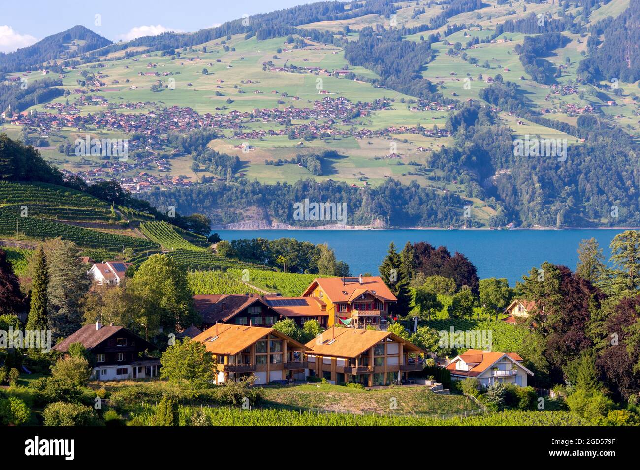 Typisches Schweizer Dorf Spiez am Ufer des Thunersees. Schweiz. Stockfoto