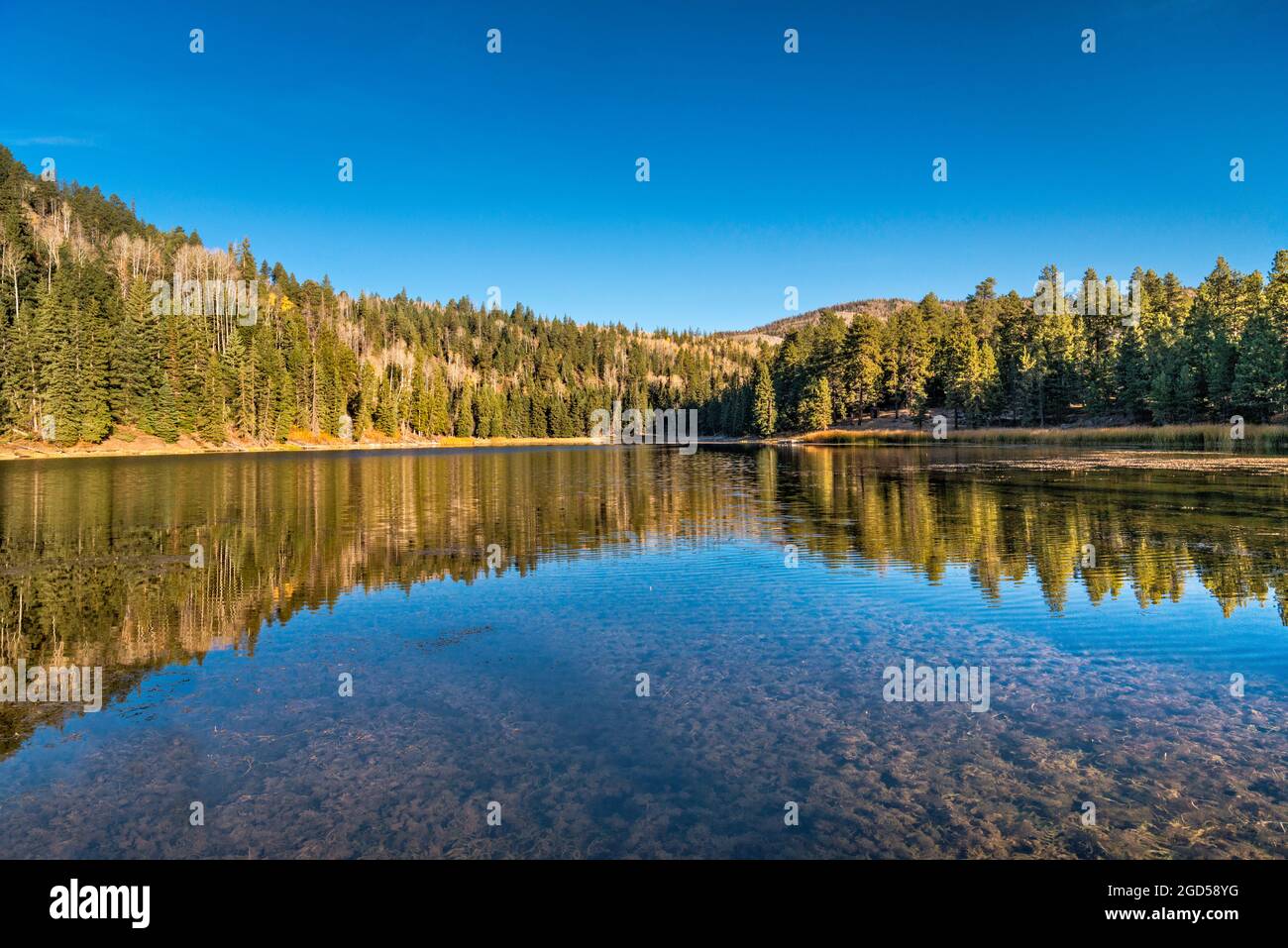 Posey Lake, Dixie National Forest, in der Nähe von Escalante, Utah, USA Stockfoto