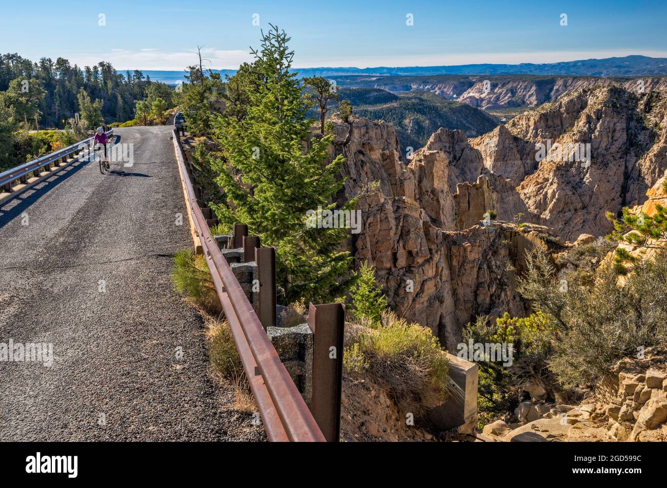 Box Death Hollow Wilderness, Biker an der Hells Backbone Bridge, Dixie National Forest, in der Nähe von Escalante, Utah, USA Stockfoto