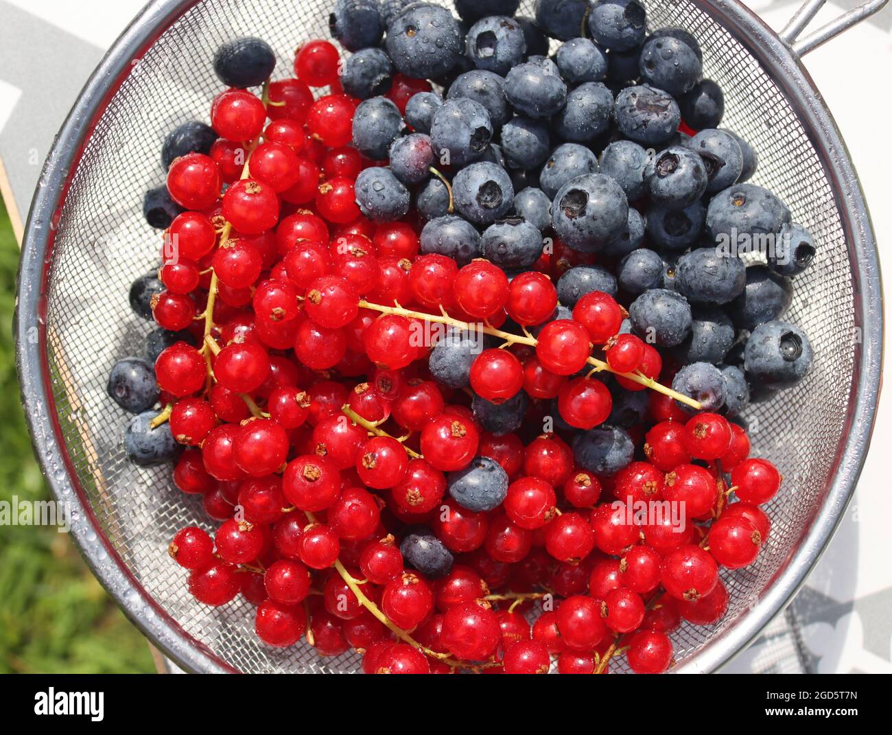 Heidelbeere und rote Johannisbeere in einer Schüssel. Nahaufnahme von Sommerfrüchten. Fresh-Konzept. Stockfoto