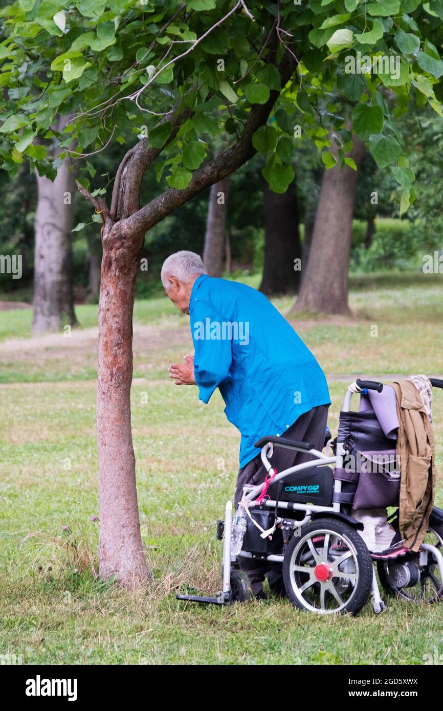 Ein 86 Jahre alter chinesisch-amerikanischer Anhänger von Falun Gong macht langsame Übungen vor einem Baum in einem Park in Queens, New York City. Stockfoto