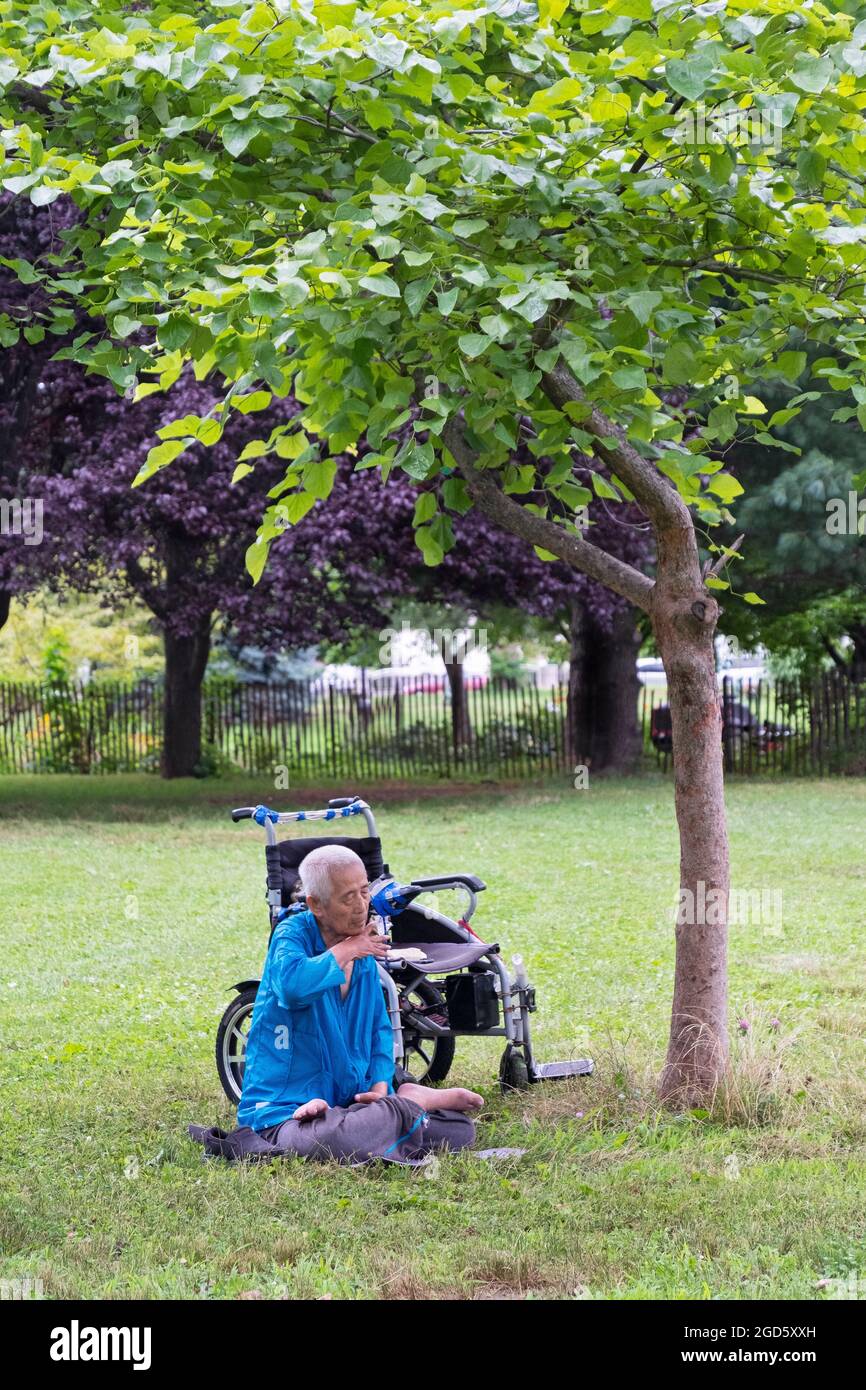 Ein 86-jähriger Chinese, ein amerikanischer Mann, praktiziert in der Nähe eines Baumes in einem Park in Flushing, Queens, New York City, die langsamen Falun Gong-Übungen. Stockfoto