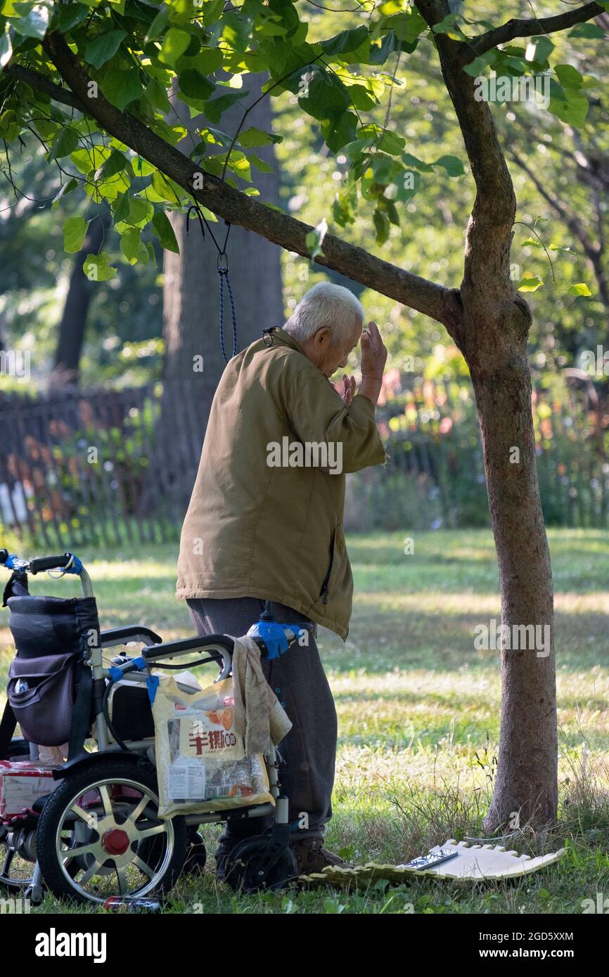 Ein nicht identifizierbarer 86-jähriger chinesischer amerikanischer Anhänger von Falun Gong macht langsame Übungen vor einem Baum in einem Park in Queens, New York City Stockfoto