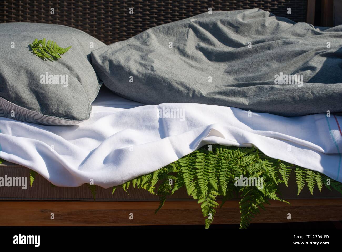 Holzfarnblätter unter dem Bettlaken. Schlafen auf Farnblättern. Traditionelles antiarthritisches Mittel. Stockfoto