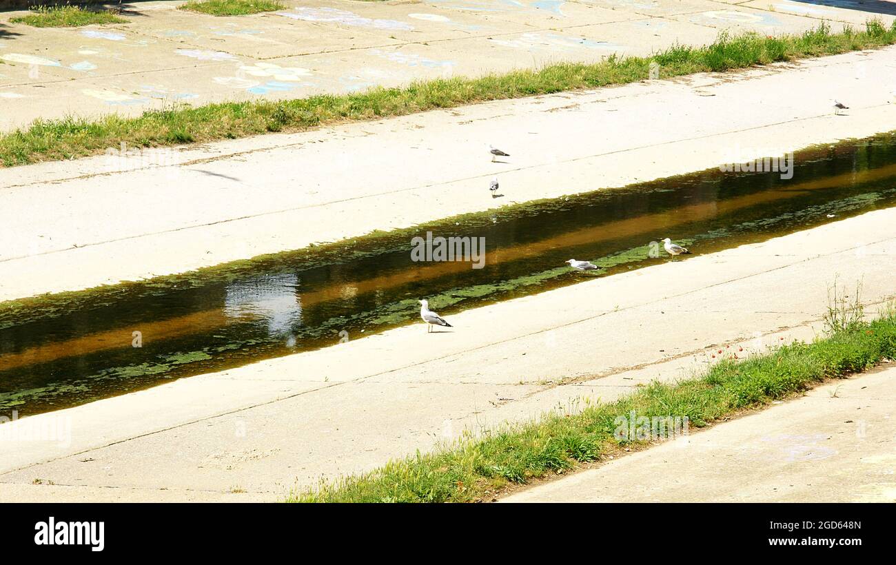 Der Onyar-Fluss fließt durch Girona, Katalonien, Spanien, Europa Stockfoto