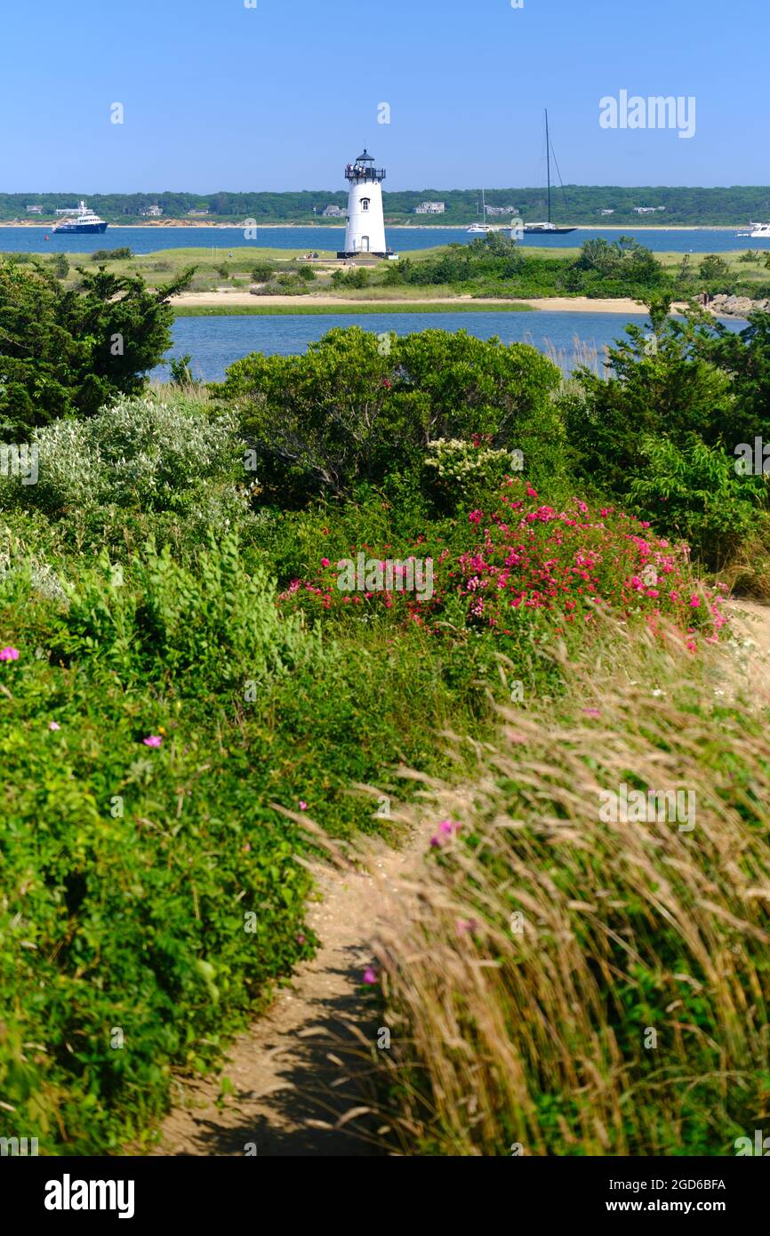 Blumen in der Nähe des Edgartown Harbour Lighthouse auf Martha's Vineyard Stockfoto