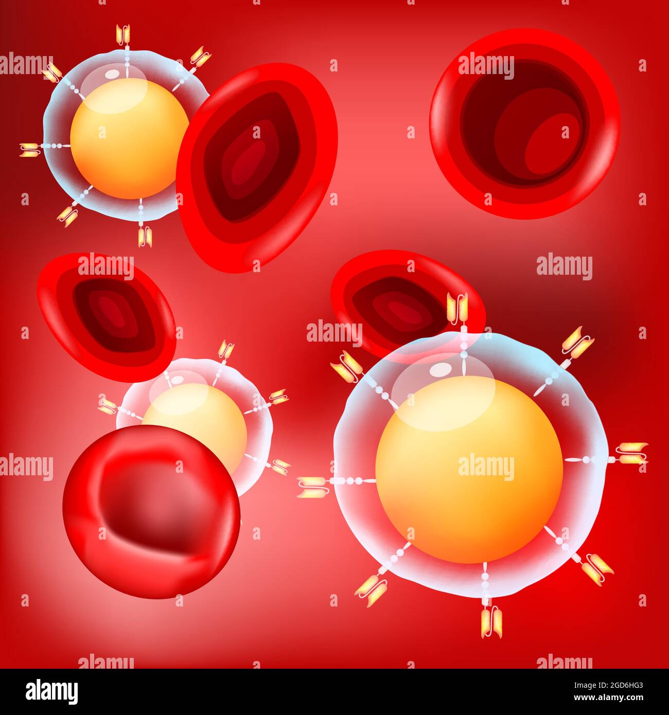 AUTO-T-Zellen und rote Blutkörperchen auf rotem Hintergrund. Nahaufnahme eines chimären Antigen-Rezeptors und CAR-T-Zellen. vektor-Poster über Immuntherapie Stock Vektor