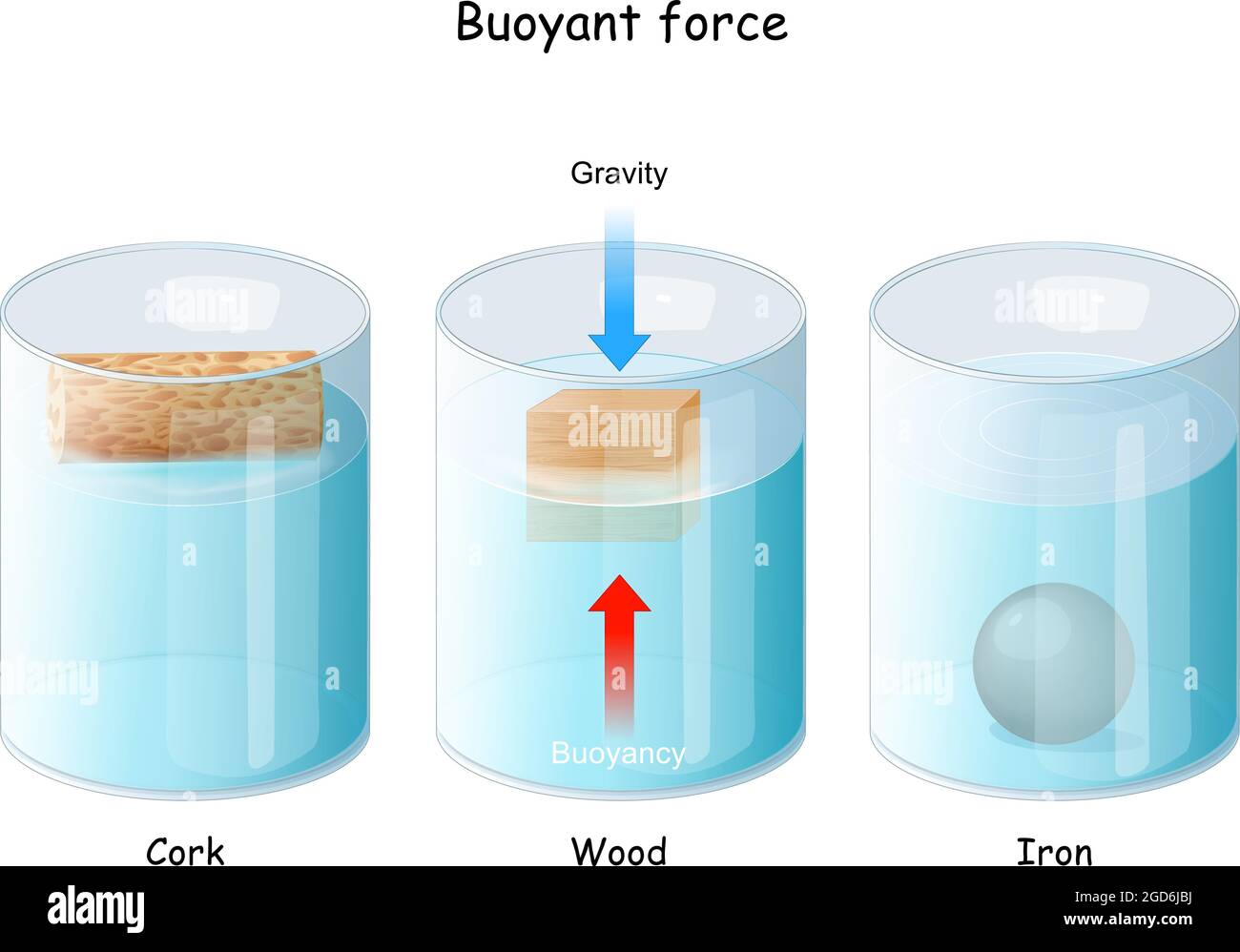 Auftriebskraft. Archimedes-Prinzip. Eisenkugel, Holzwürfel und Kork, die in Glaswaren schwimmen. Physikalisches Gesetz. Becher mit flüssiger Flüssigkeit Stock Vektor