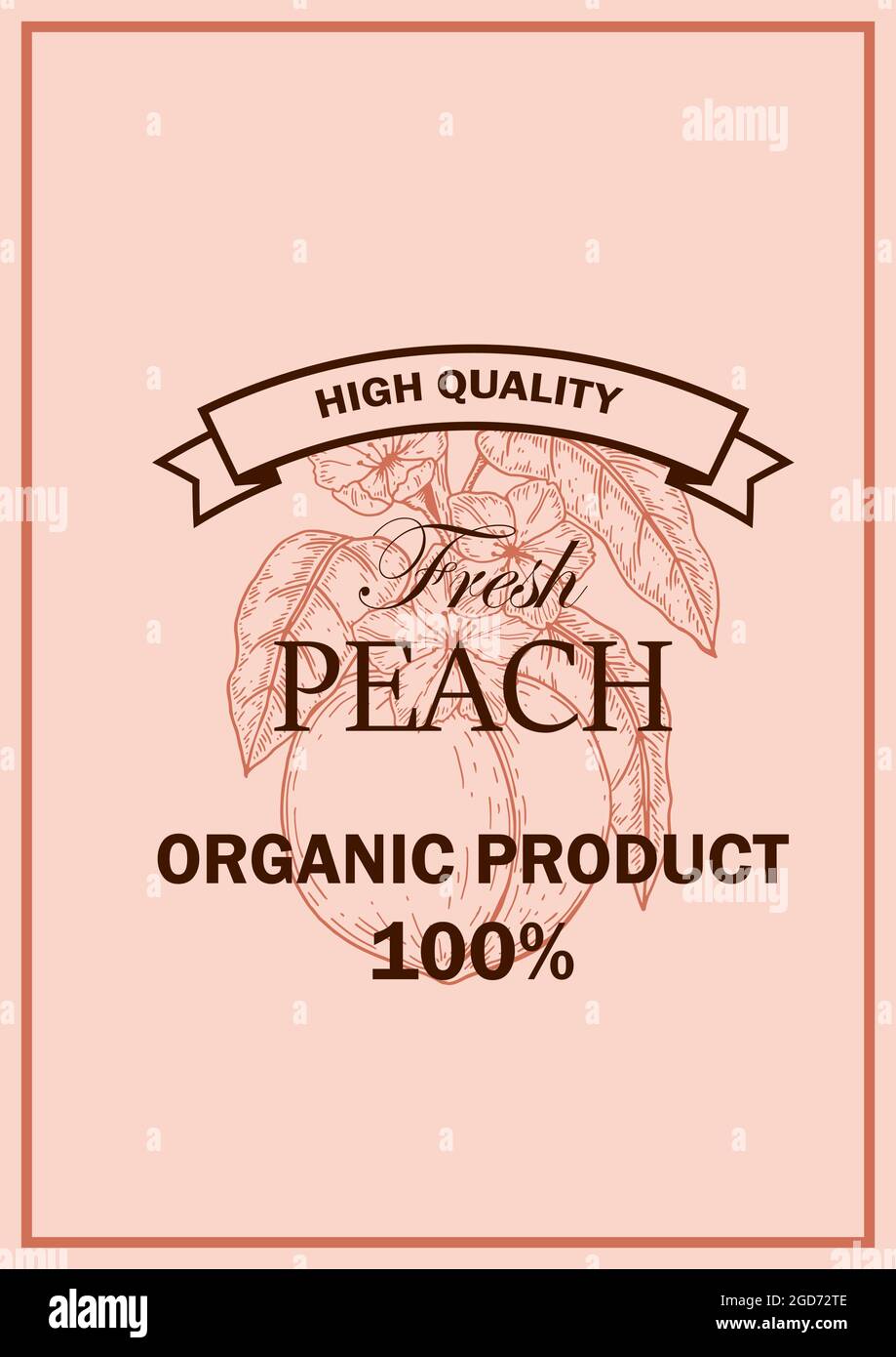 Handgezeichnetes Pfirsich-Design. Vektorgrafik im Skizzenstil Stock Vektor