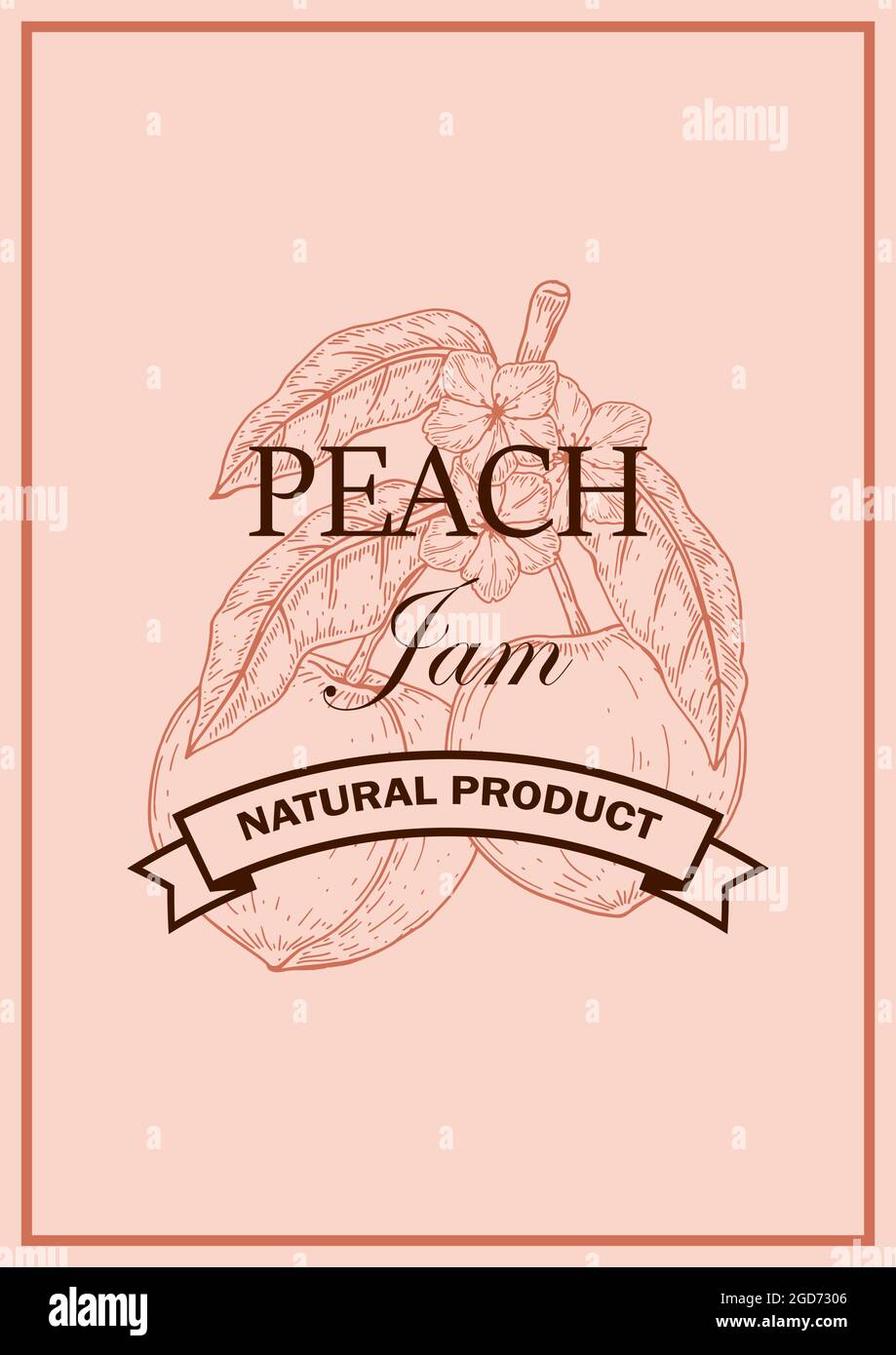 Handgezeichnetes Pfirsich-Design. Vektorgrafik im Skizzenstil Stock Vektor